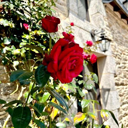 Gite Diamant, Vallee Du Scorff, Nature, Bien-Etre Arzano Exterior foto